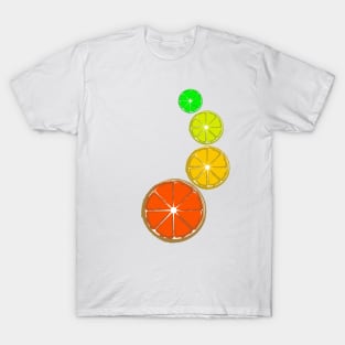 citrus slice T-Shirt